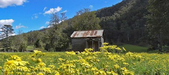 Dalmorton ghost town on old Glen Innes Road