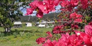 Rural scene on Old Glen Innes Road