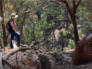 Burning Mountain NSW