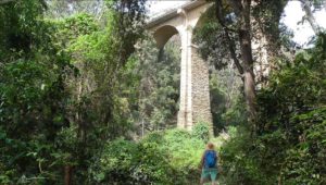 Knapsack Viaduct at Lapstone NSW