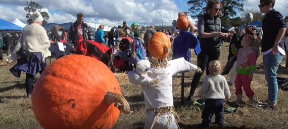 Collector Pumpkin Festival 2016