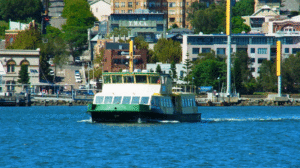 Stockton Ferry, Shortland