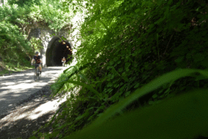 Historic Fernleigh Tunnel