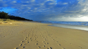 The Beach at Brunswick Heads