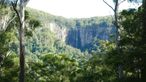 View of Minyon Falls