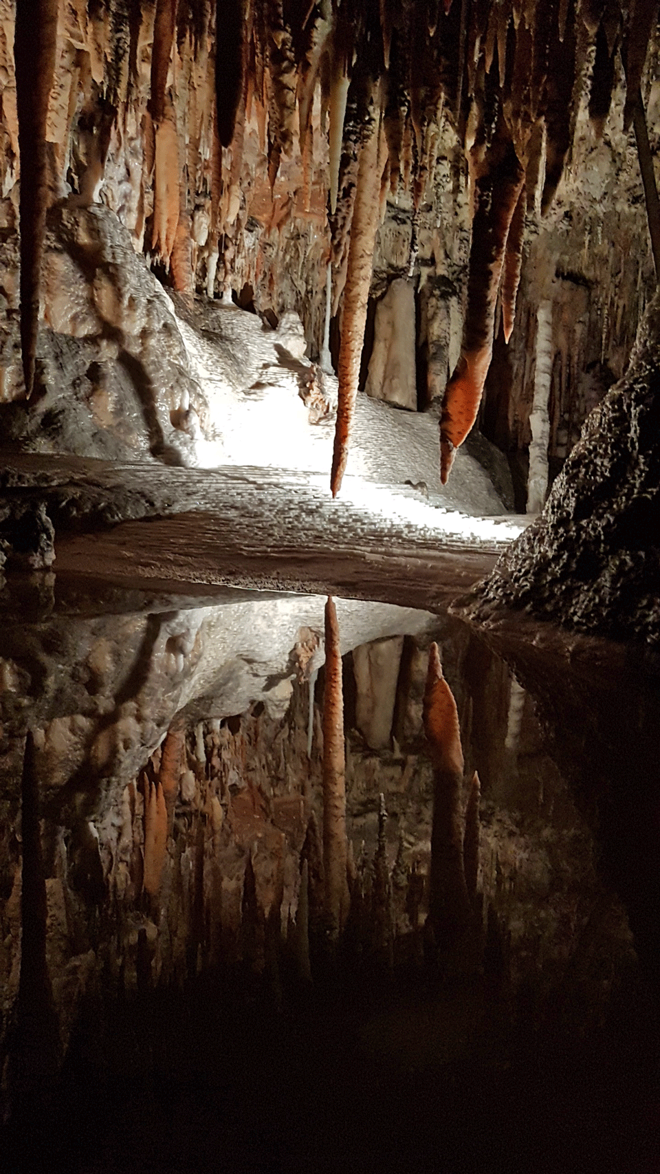 Yarrangobilly Jersey Cave Two Minute Postcards