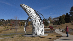 Walcha NSW whale sculpture