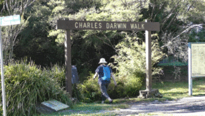 Charles Darwin Walk