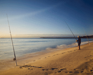 swim spots Lake Macquarie