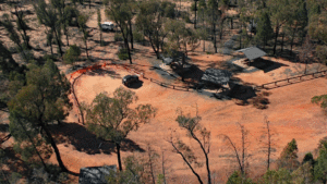 Pilliga Forest