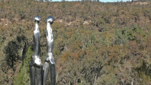 Pilliga Forest